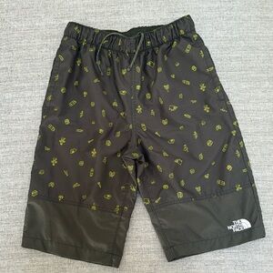Boys Large North Face Class V Flash Dry Board Shorts